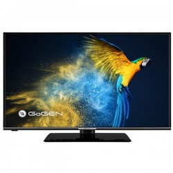 32" Gogen TVF 32P559T