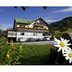 Spengerwirt 