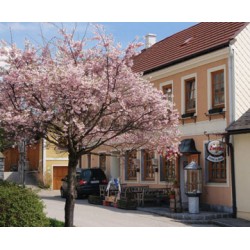 GASTHOF ZUR KIRCHE