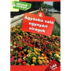 ÁGYÁSBA VALÓ EGYNYÁRI VIRÁGOK