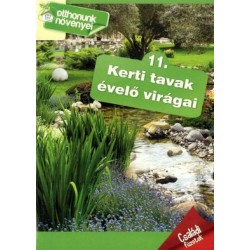 KERTI TAVAK ÉVELŐ VIRÁGAI - OTTHONUNK NÖVÉNYEI 11.