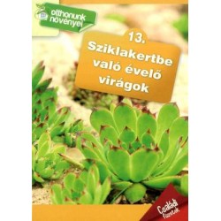 SZIKLAKERTBE VALÓ ÉVELŐ VIRÁGOK - OTTHONUNK NÖVÉNYEI 13.