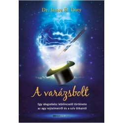A VARÁZSBOLT - EGY IDEGSEBÉSZ LEBILINCSELELŐ TÖRTÉNETE
