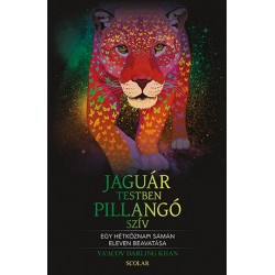 JAGUÁRTESTBEN PILLANGÓSZÍV - EGY HÉTKÖZNAPI SÁMÁN ELEVEN BEAVATÁSA